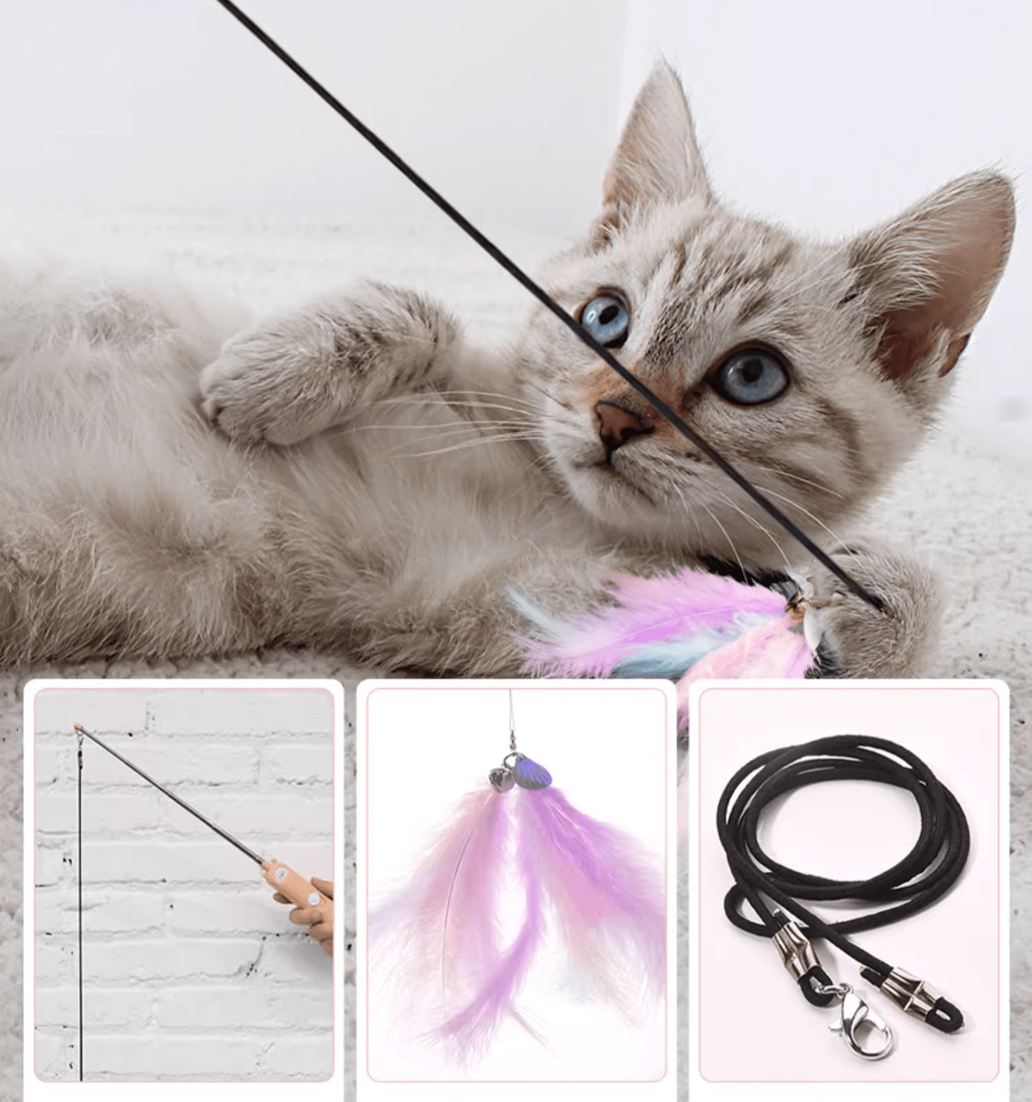 Multi Function Cat Stick Infrared Laser Pointer (USB Charging)