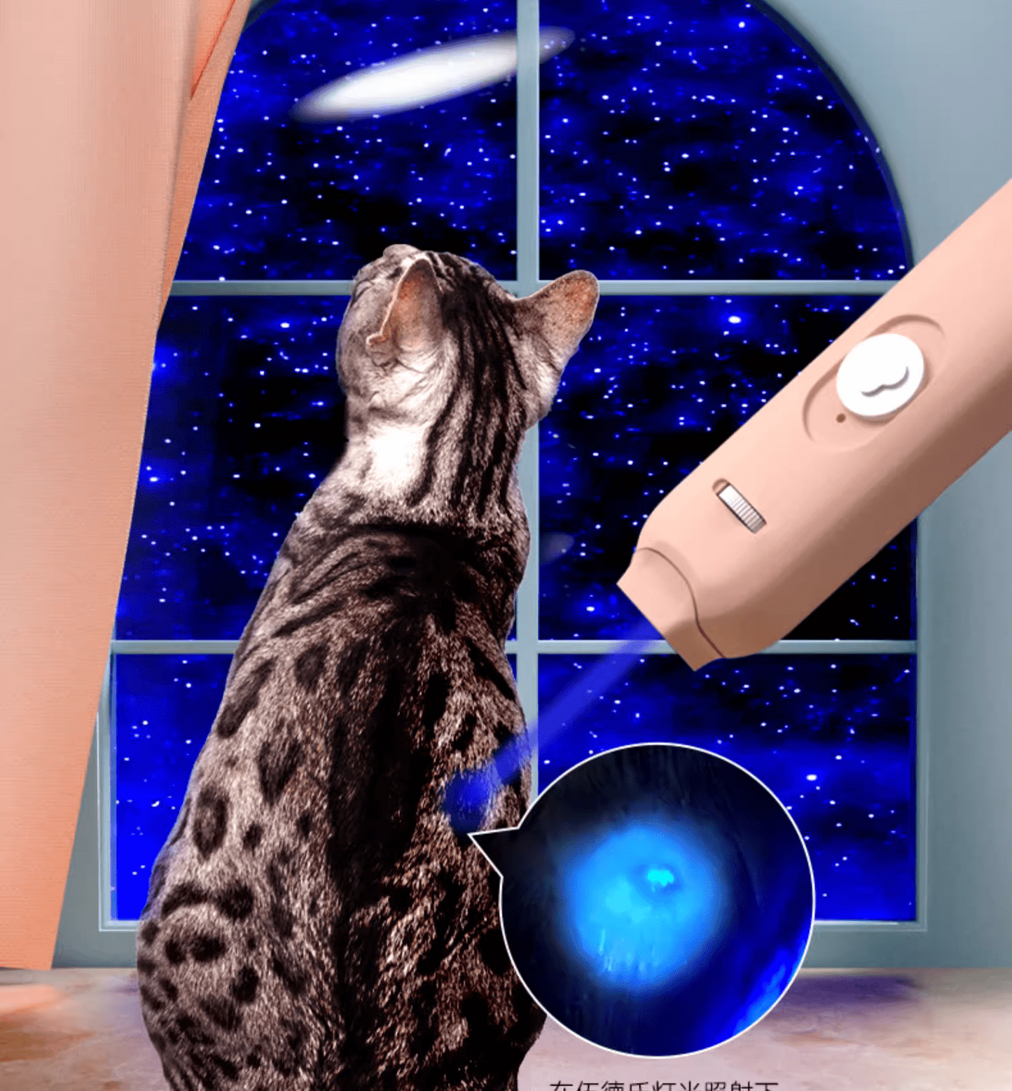 Multi Function Cat Stick Infrared Laser Pointer (USB Charging)