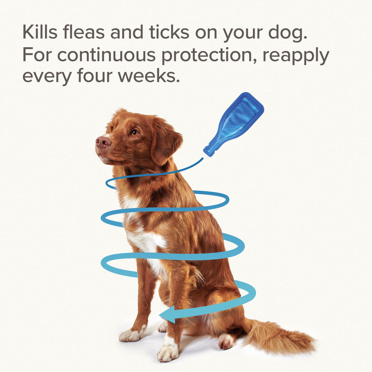 Beaphar FIPROtec® Flea & Tick Spot-on For Dogs (10-20kg)