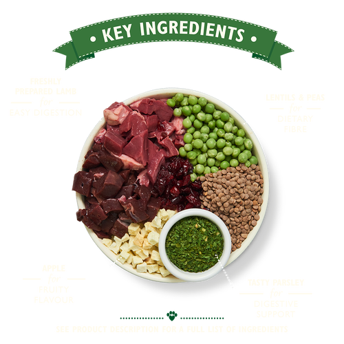 Lilys Kitchen Shepherd's Pie with Lamb Potatoes and Parsley Dry Dog Food 2.5kg