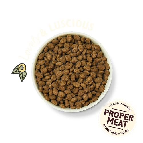 Lilys Kitchen Shepherd's Pie with Lamb Potatoes and Parsley Dry Dog Food 2.5kg