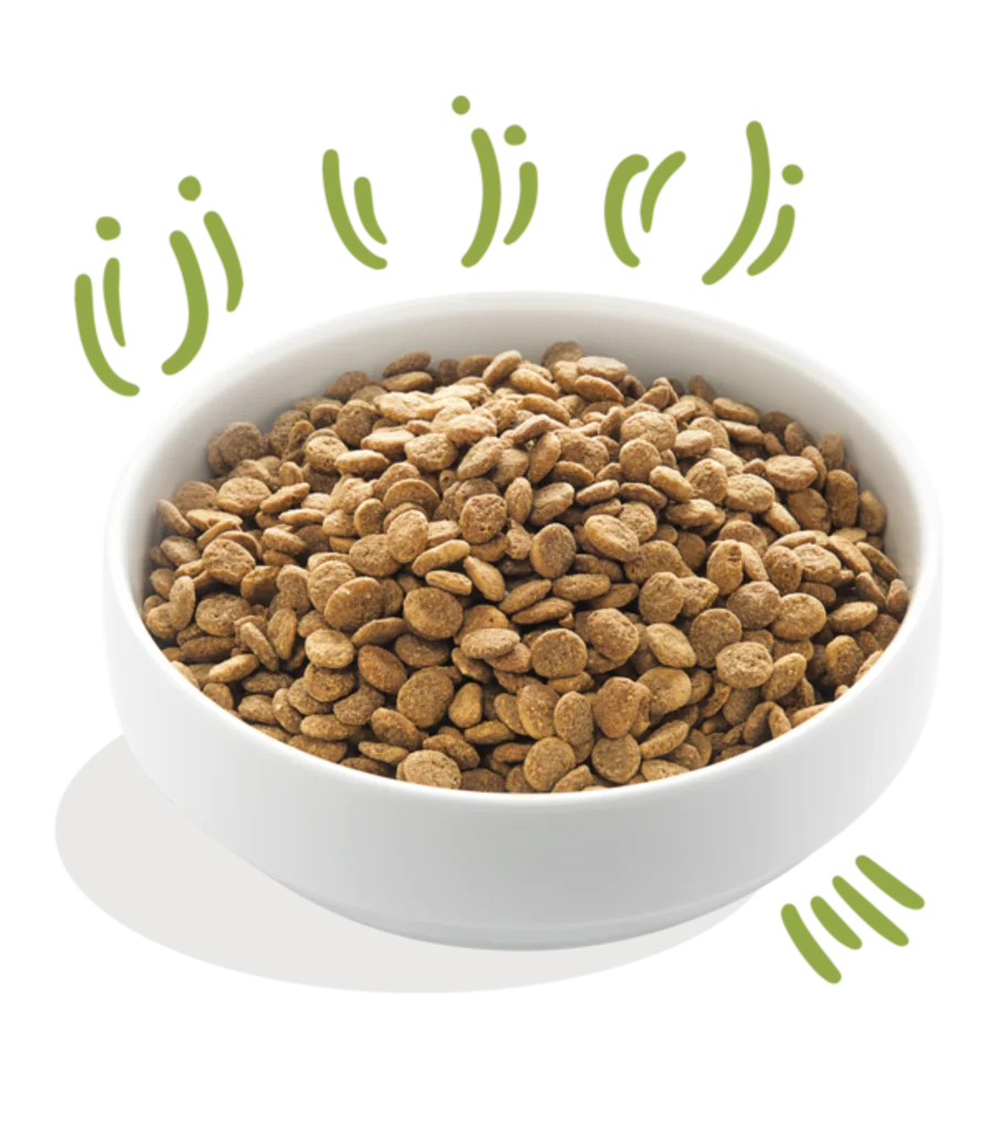 Edgard & Cooper Dry food for Dogs Lamb 2.5kg