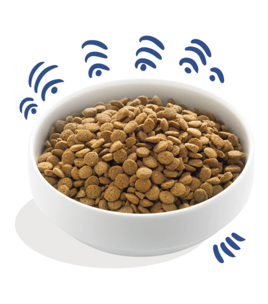 Edgard & Cooper Dry food for Dogs in Salmon 2.5kg