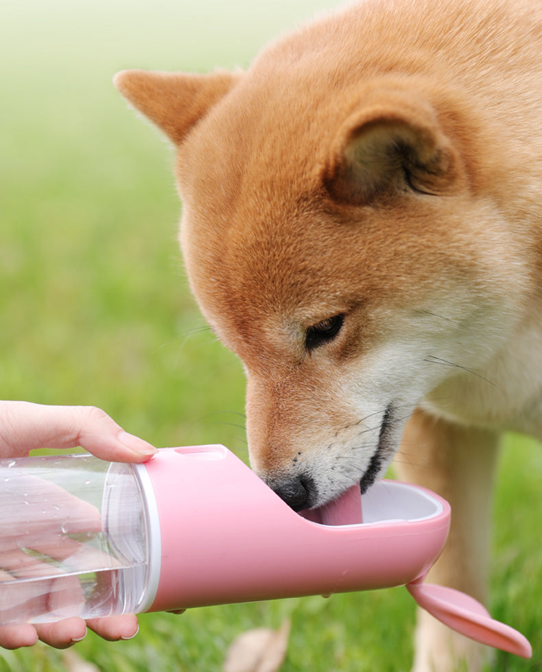 Outdoor Pet Travel Kettle
