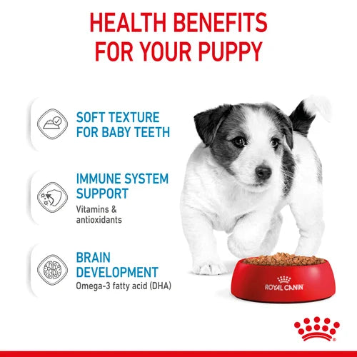 Royal Canin Mini Puppy Chunks In Gravy 12x85g - For small breed puppies (adult weight from 1 to 10 kg) - Up to 10 months old