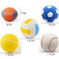 Interactive Dog Toys Squeaky Sound Ball for Dogs