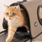 Space Ship Cat Carrier