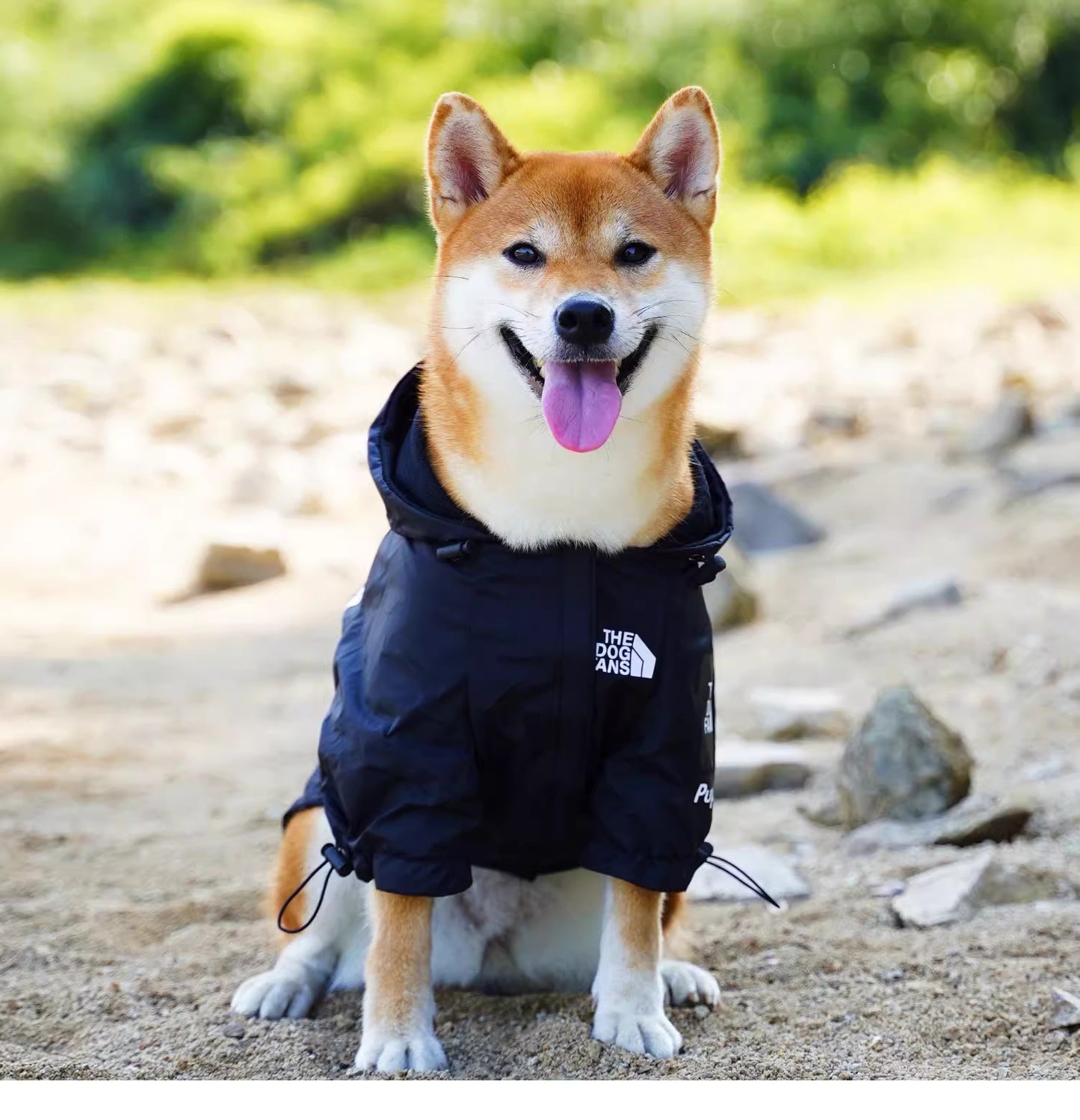 Stylish Dog Raincoat-XL/2XL/3XL