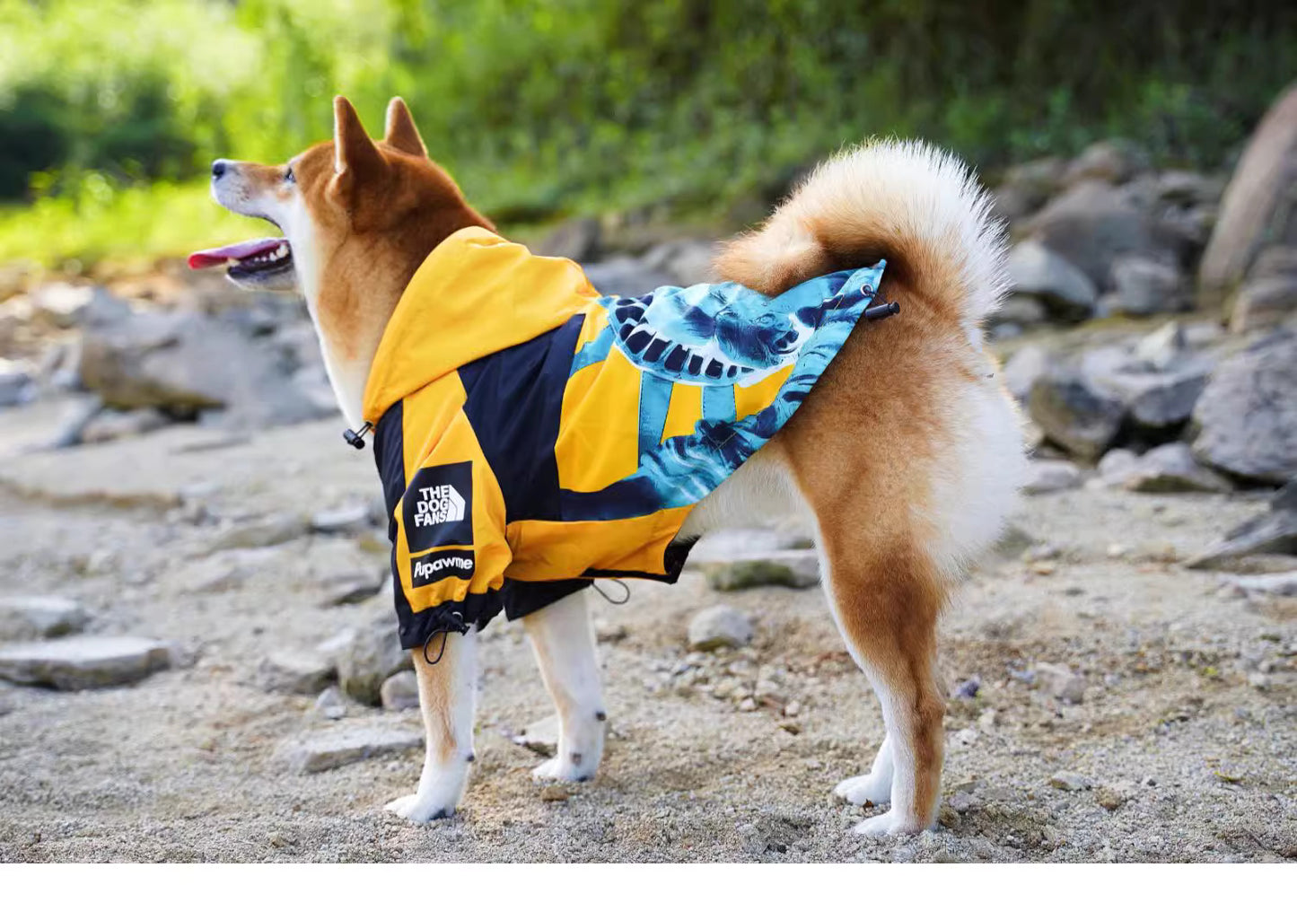 Stylish Dog Raincoat-XL/2XL/3XL