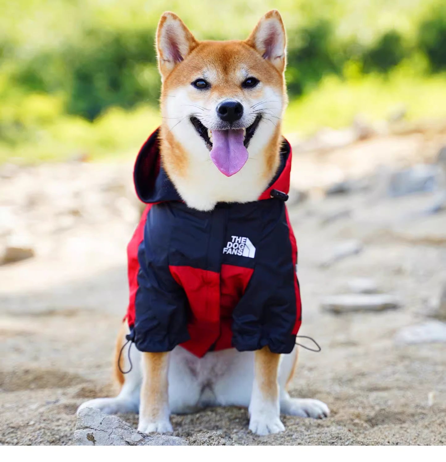 Stylish Dog Raincoat-XL/2XL/3XL