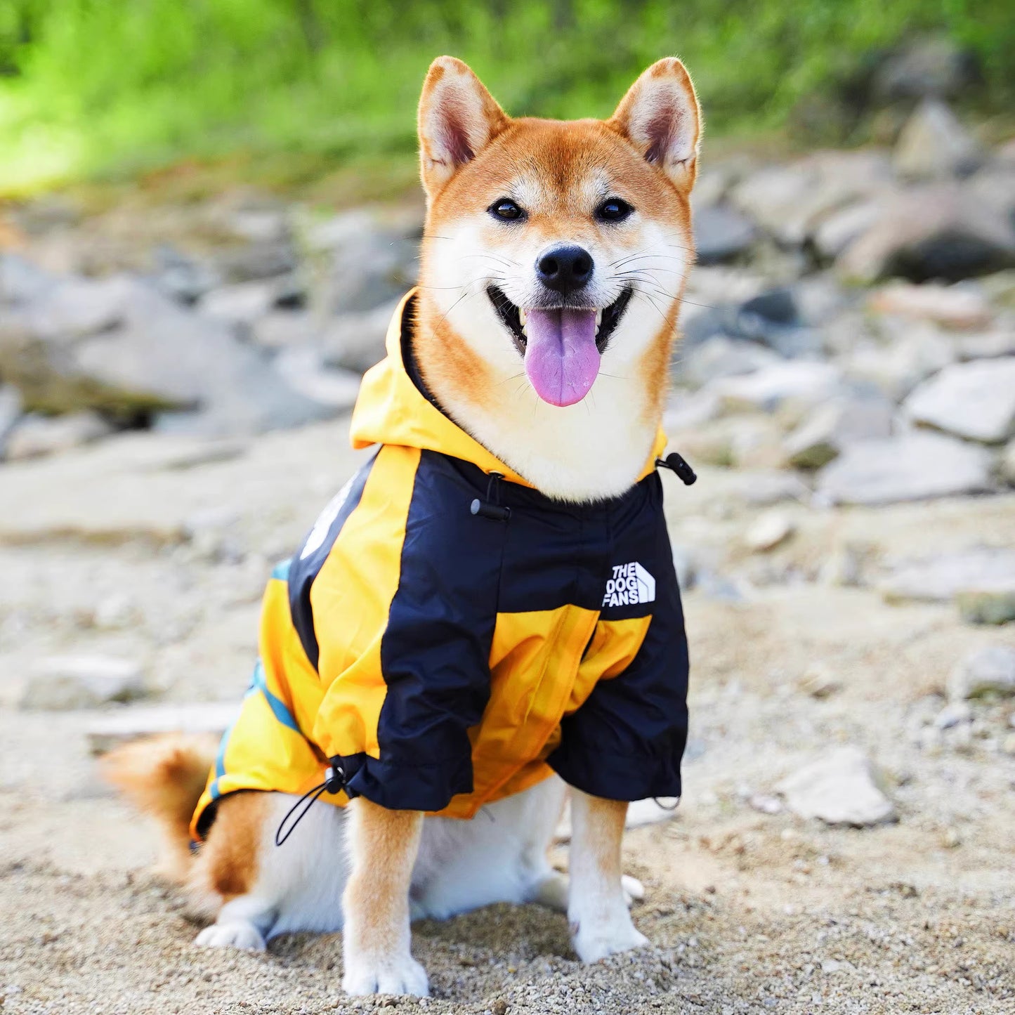 Stylish Dog Raincoat-XL/2XL/3XL