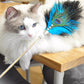 Ostrich feather cat teasing stick-70cm