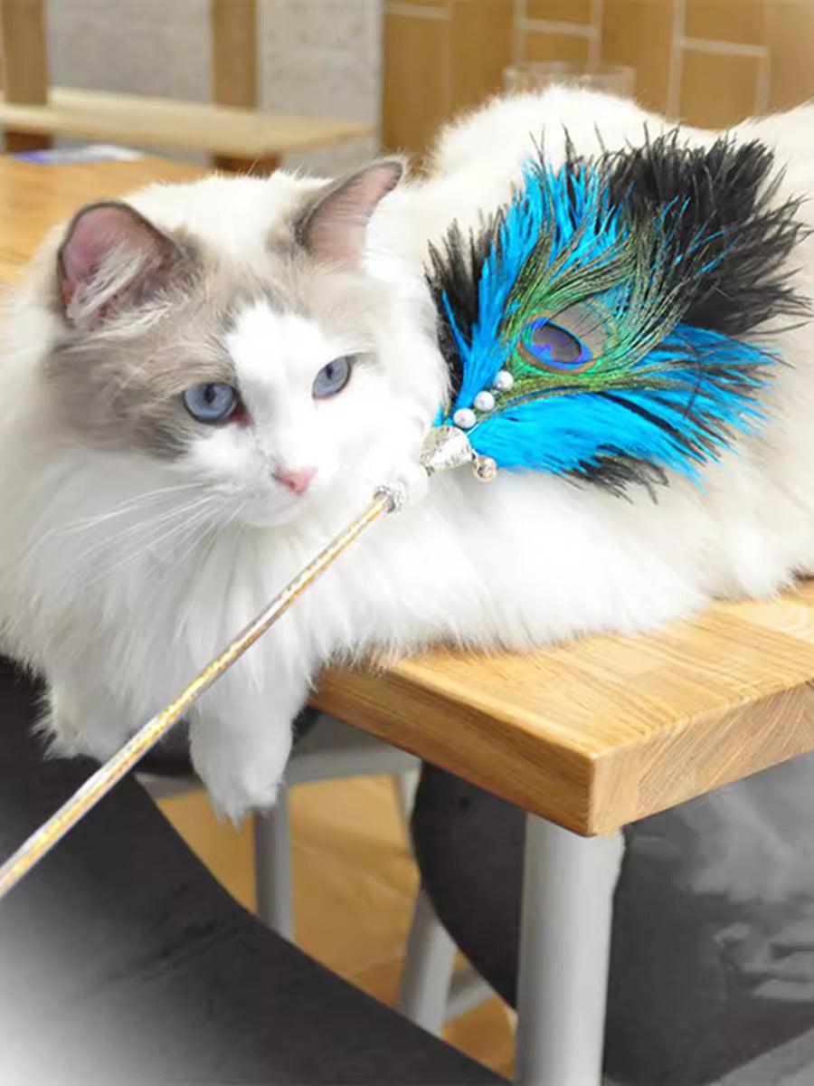 Ostrich feather cat teasing stick-70cm