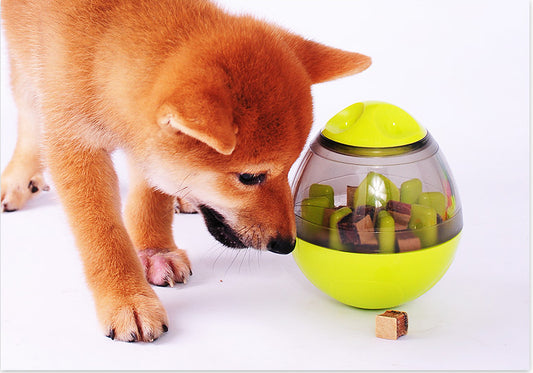 Mental Stimulation Toy for Dog-Eating Sport
