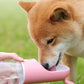 Outdoor Pet Travel Kettle