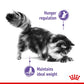 Royal Canin Appetite Control Care 2kg- Recommended to help control begging behaviour